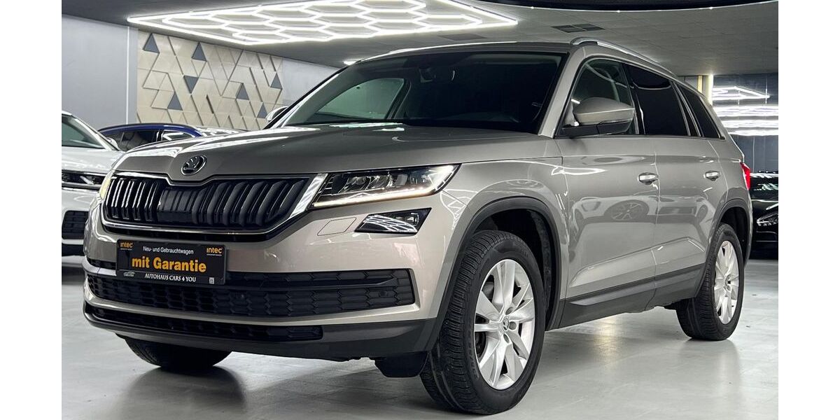 Skoda Kodiaq 199.500 km 16.990 &euro; Peine 31226