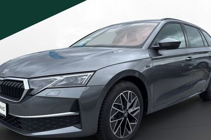 Skoda Octavia 27.106 km 31.450 &euro; Regen 94209