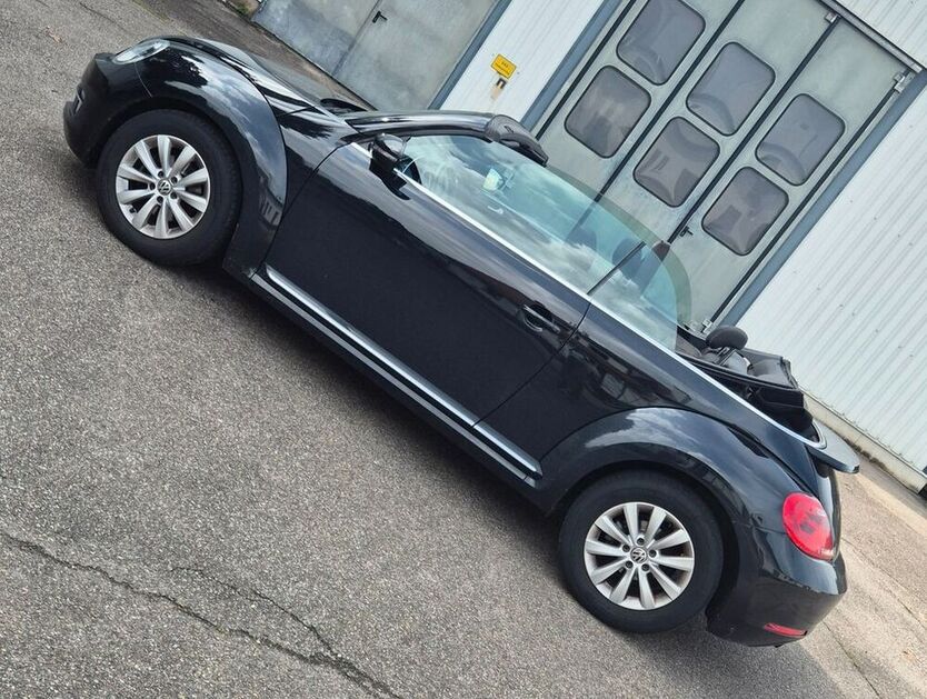 Beetle