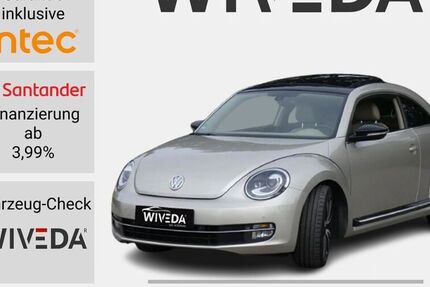 VW Beetle
