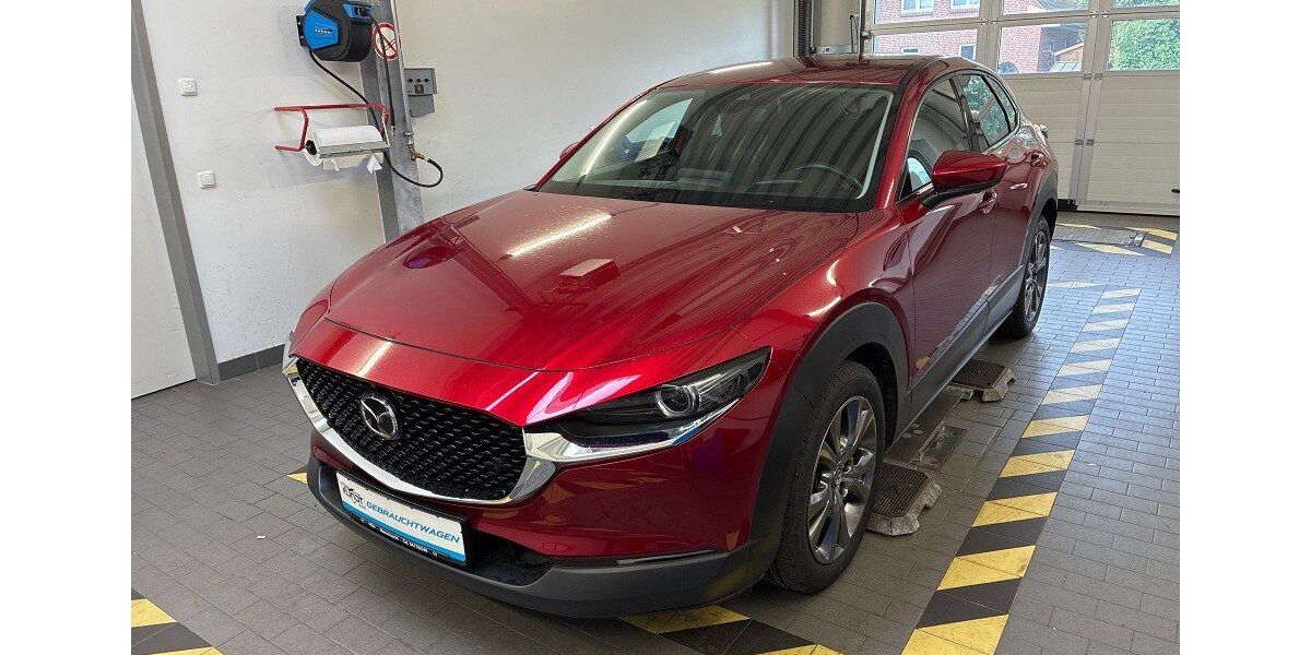 Mazda CX-30 61.936 km 21.690 &euro; Marschacht 21436