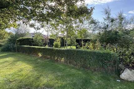 Grundstück zu verkaufen in Wangels 129.000 € 308 m² zimmer