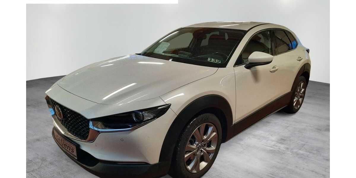 Mazda CX-30 25.990 km 21.980 &euro; Torgau 04860
