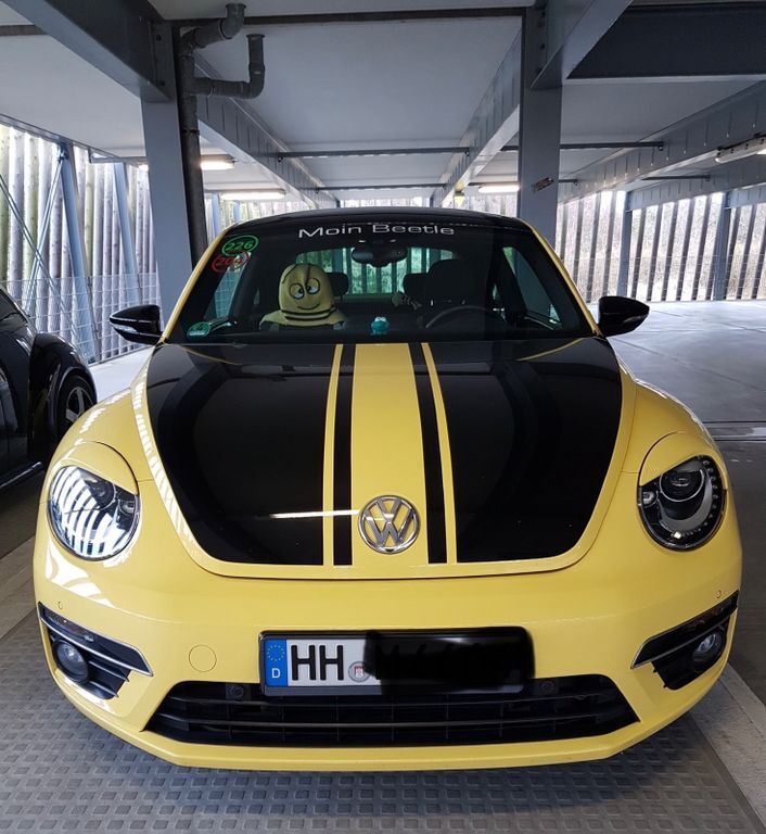 Beetle