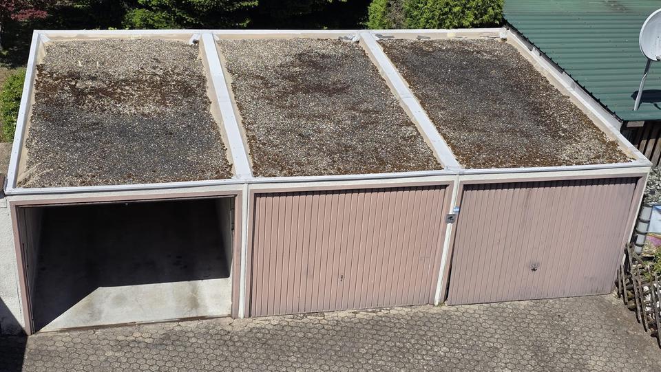 Wohnung zu vermieten 4 zimmer