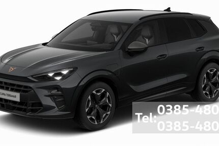 Cupra Terramar 10.500 km 42.990 &euro; Schwerin 19057