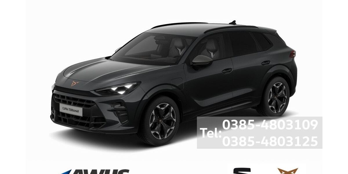 Cupra Terramar 11.000 km 42.990 &euro; Schwerin 19057