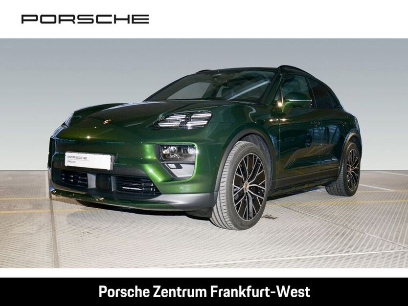 Macan