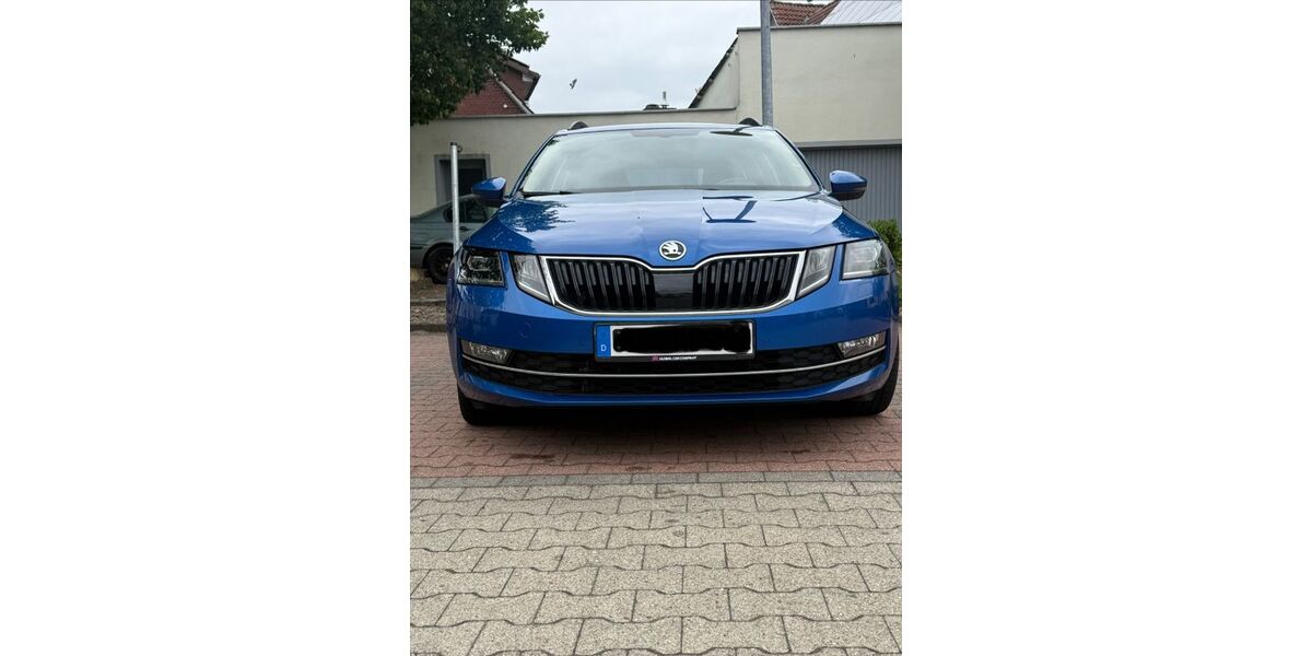 Skoda Octavia 209.000 km 11.600 &euro; Löningen 49624