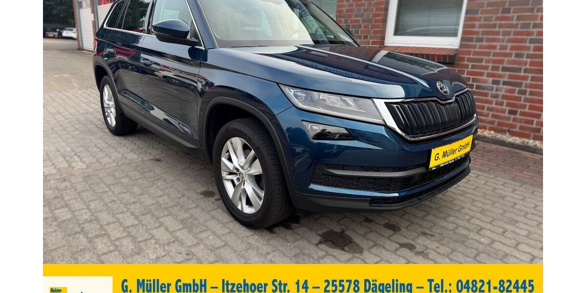 Skoda Kodiaq 118.550 km 20.480 &euro; Dägeling 25578