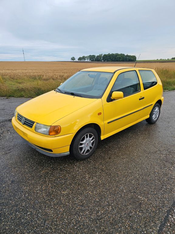 Polo