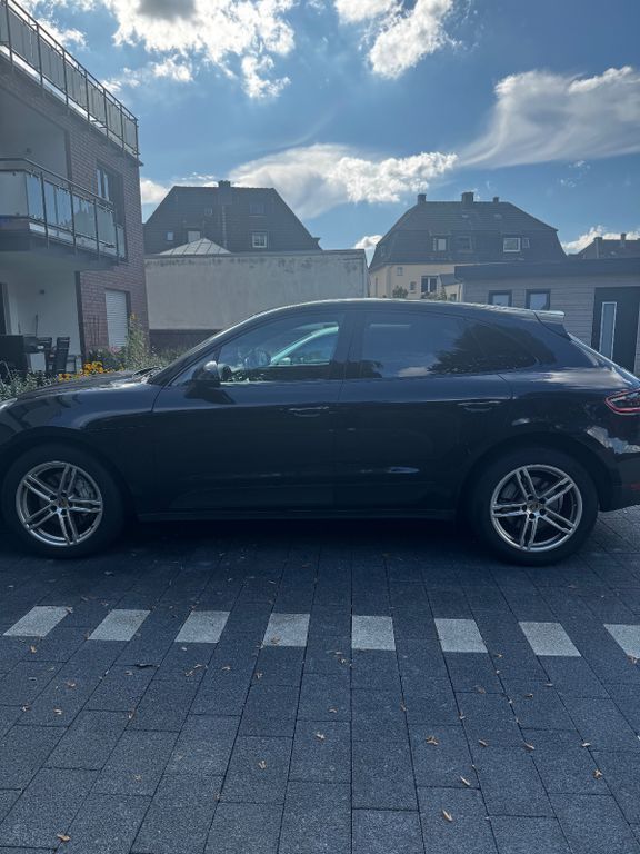 Macan