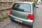 Lupo