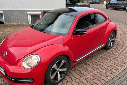 VW Beetle 150.000 km 4.999 &euro; Bad Dürkheim 67098
