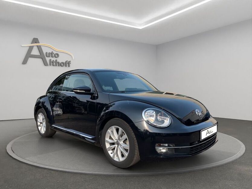 Beetle