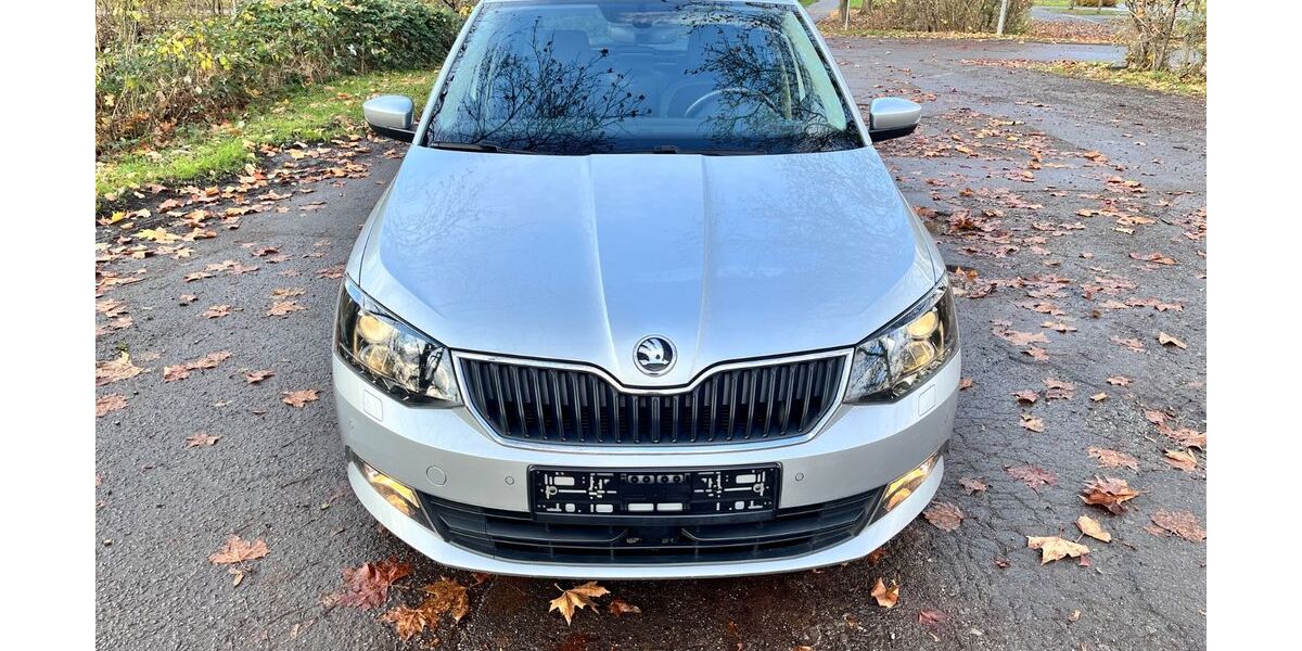Skoda Fabia 125.000 km 7.999 &euro; Neckarsulm 74172