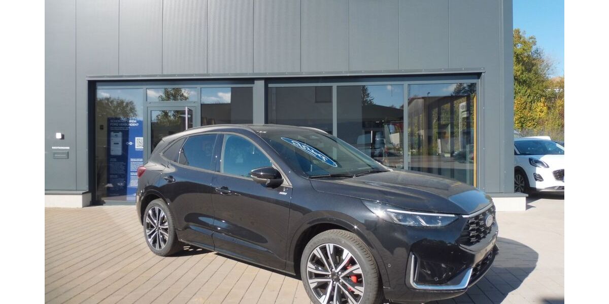 Ford Kuga 2.000 km 41.100 € Walzbachtal 75045