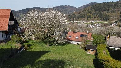 IDYLLE IN NATUR UND STADT - Grundstück Bühlertal | Angebot:27418380