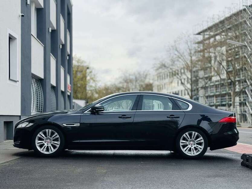 XF