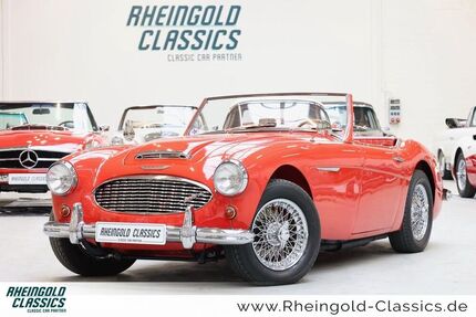Austin Healey Andere
