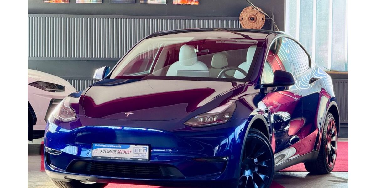 Tesla Model Y 42.000 km 33.400 &euro; Rückholz 87494