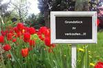 Grundstück Muhr am See Muhr - 205.000&euro; | Angebot:26256796