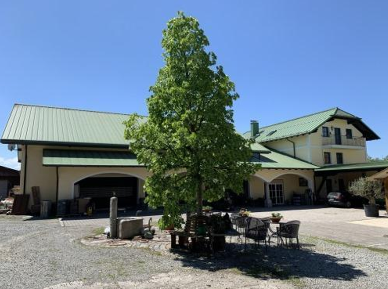 Einfamilienhaus Bad Füssing - 11 Zimmer, 600 m&sup2;, 1.650.000&euro; | Angebot:25406140