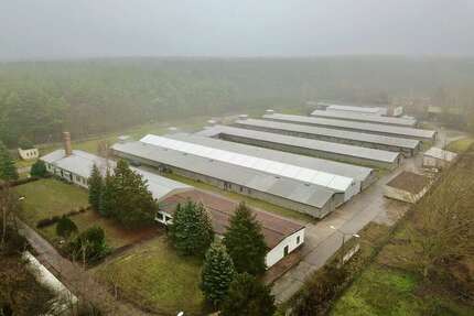 Halle in Storkow 1.249.000 € 8073 m²