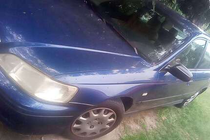 Honda Accord 135.000 km 1.000 &euro; Niederer Fläming 14913