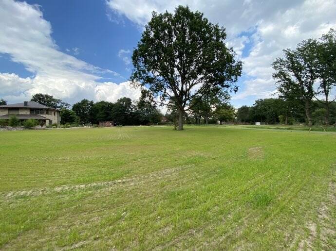 Grundstück Wildeshausen Stadtfelde - 633.600&euro; | Angebot:25820084