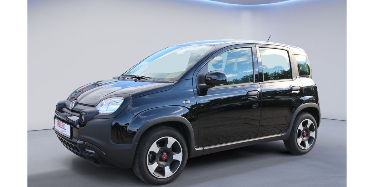 Fiat Panda 30.900 km 11.490 € Chemnitz 09228