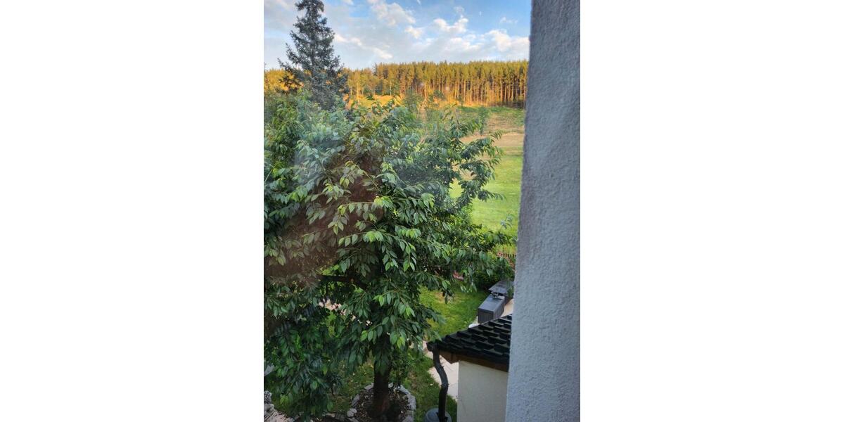 Mehrfamilienhaus, Wohnhaus Unterwellenborn Goßwitz - 10 Zimmer, 250 m&sup2;, 123.456&euro; | Angebot:26981136