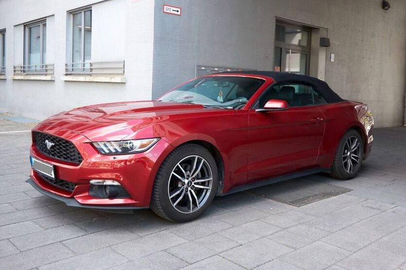 Mustang
