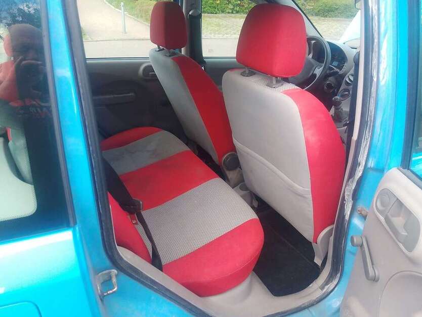 Panda