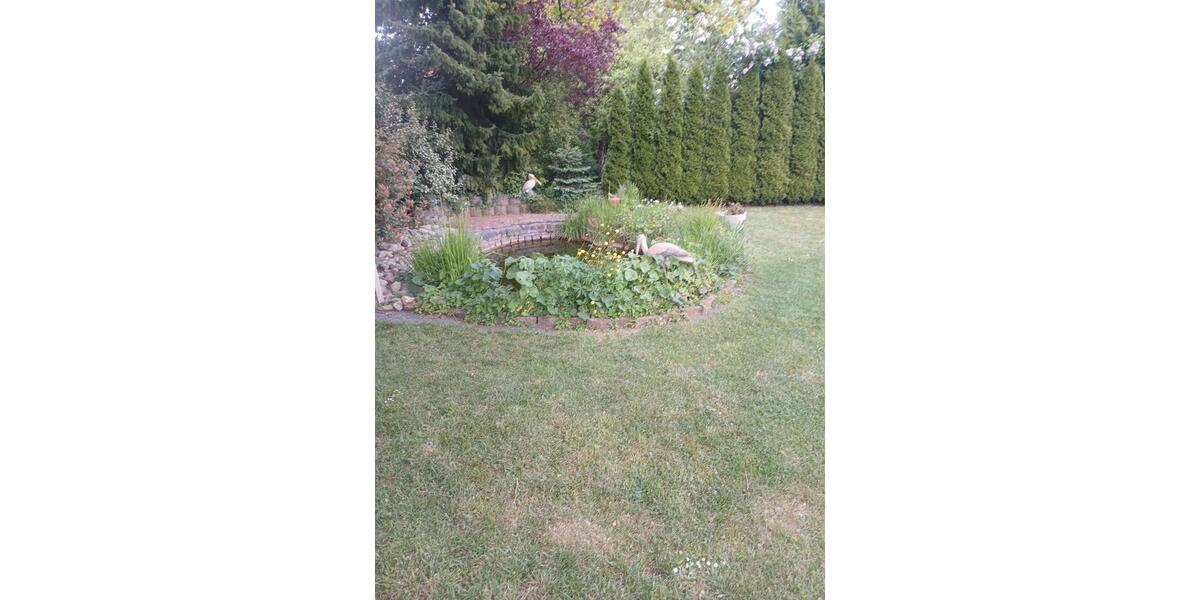 Bungalow Laer - 7 Zimmer, 270 m&sup2;, 499.000&euro; | Angebot:26578915