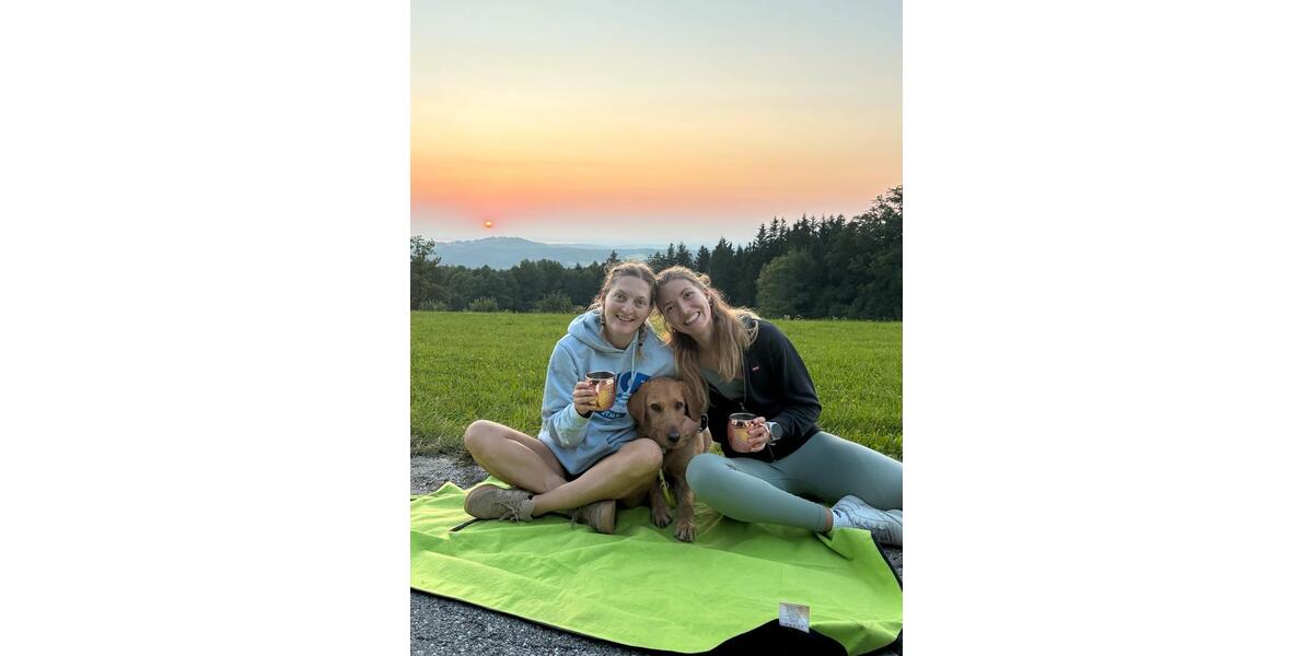 2-3 Zimmerwohnung zur Miete in Heidelberg 2 zimmer