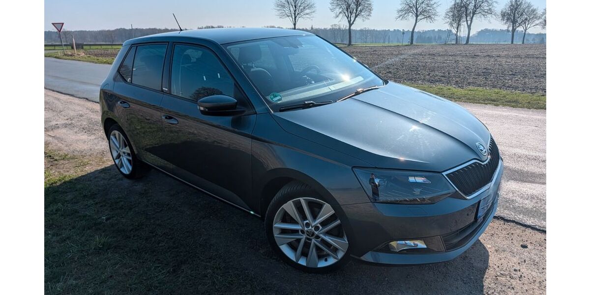 Skoda Fabia 120.000 km 9.990 &euro; Neustadt am Rübenberge 31535