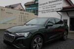 Audi Q8 e-tron Sportback 55 quattro S line 8fach 45.000 km 51.999 € Biebesheim 64584
