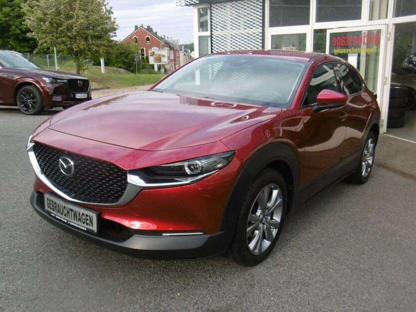 CX-30
