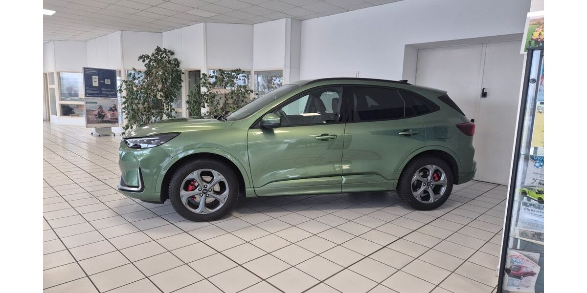 Ford Kuga 15.500 km 35.990 &euro; Bautzen 02625