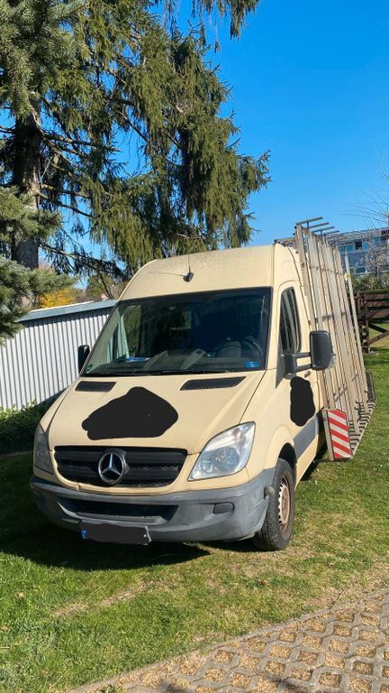 Sprinter