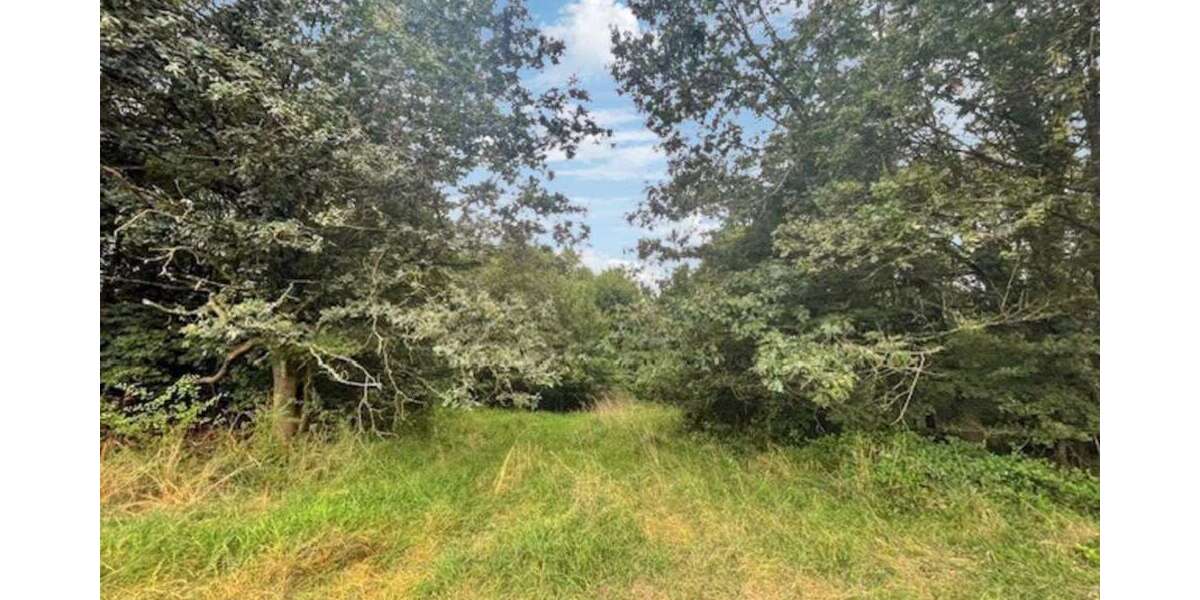 Grundstück zu verkaufen in Kusel 545.000 € 6822 m² zimmer