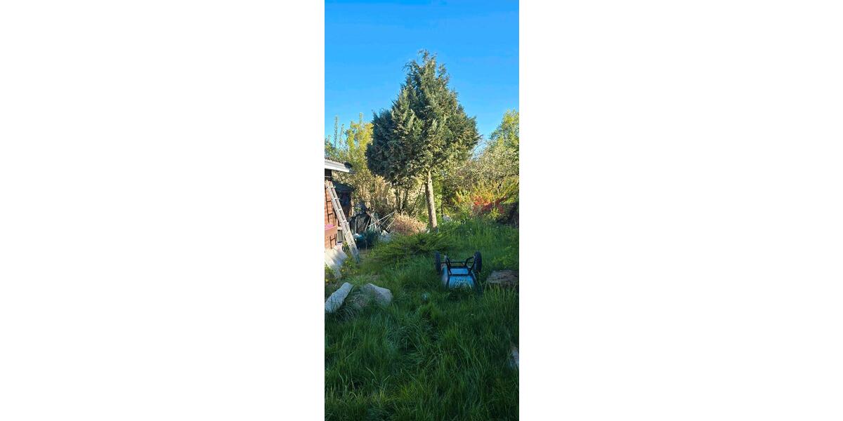 Grundstück Eilenburg - 1.500&euro; | Angebot:26337490
