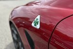 Alfa Romeo Giulia 2,9 V6 Quadrifoglio MEMORY/KAMERA/1.HAND 6.415 km 73.900 &euro; Villingen-Schwenningen 78054