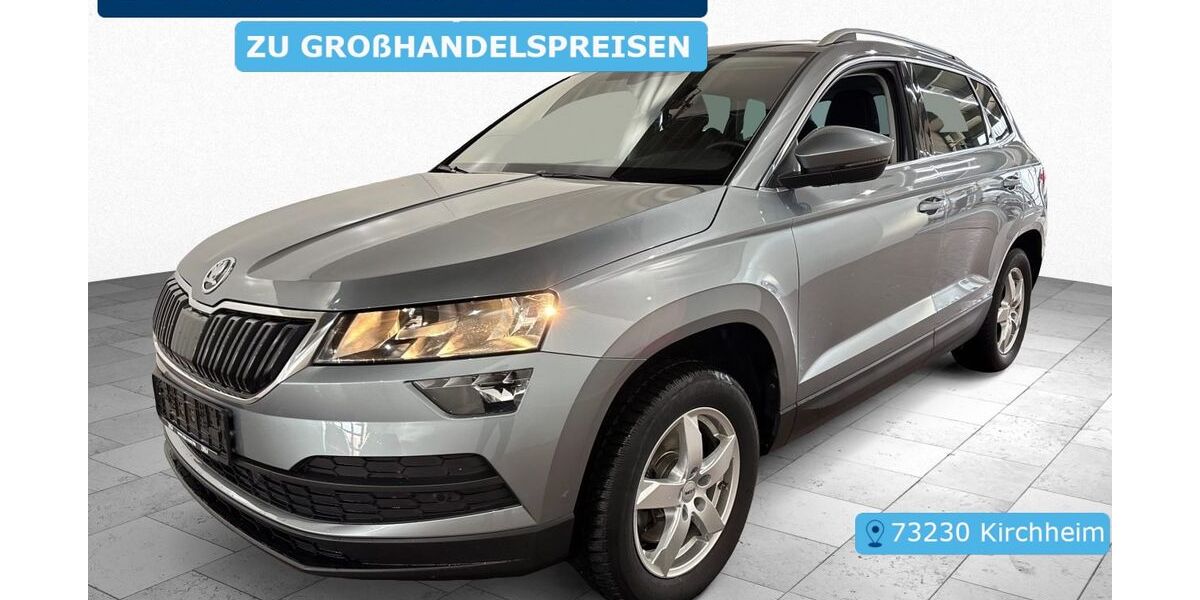 Skoda Karoq 103.892 km 19.695 &euro; Frankfurt 60596