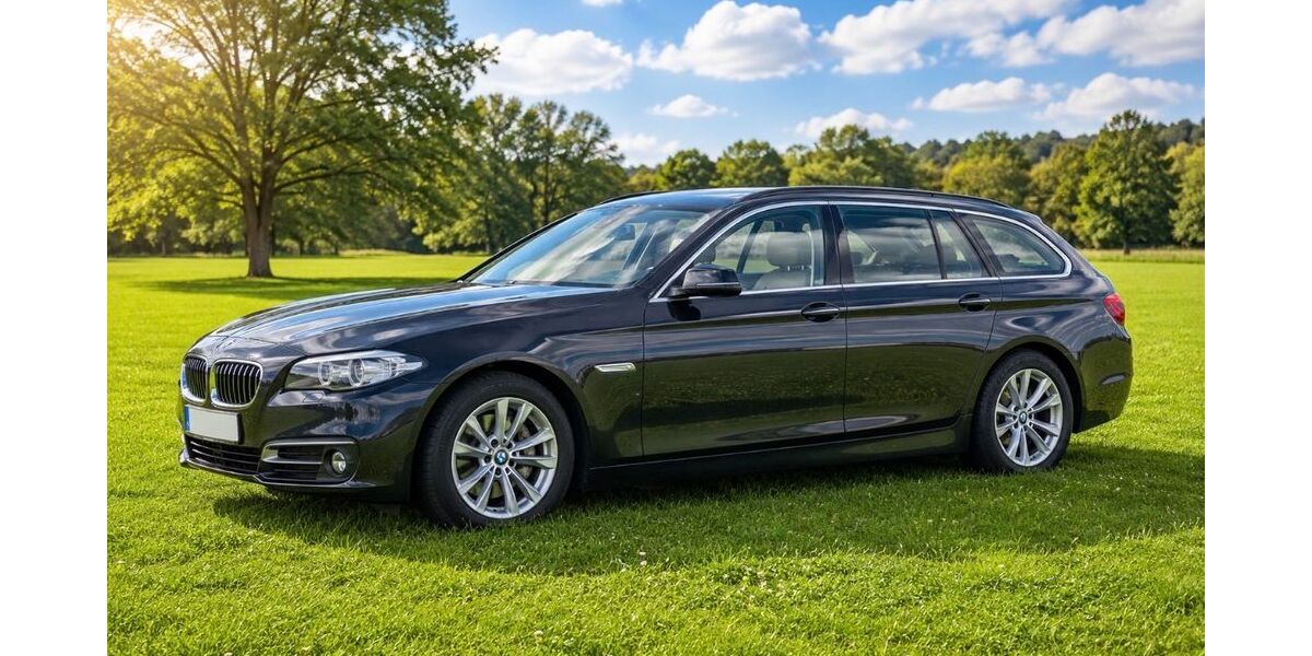 BMW 530 195.000 km 13.500 &euro; Kirchlengern 32278