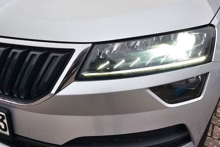 Skoda Karoq 218.000 km 18.000 &euro; Kandel 76870