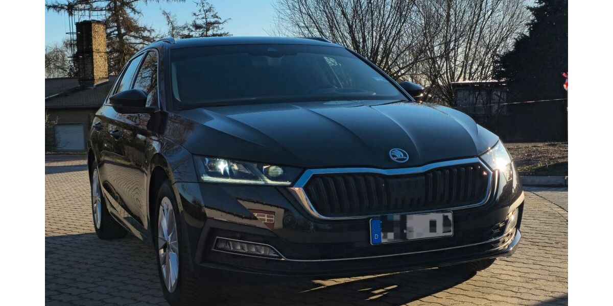 Skoda Octavia 79.000 km 21.499 &euro; Treuenbrietzen 14929