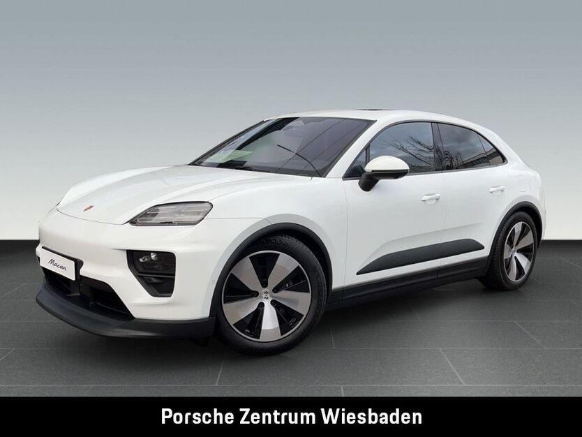 Macan