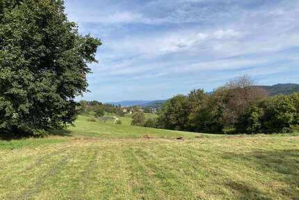 Grundstück zu verkaufen in Wittnau 900.000 € 1458 m² zimmer